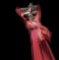 2-flamencas-galeria-web-fc-2023